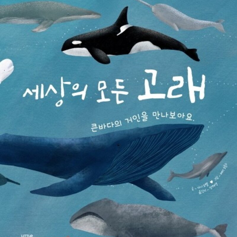 세상의 모든 고래:큰바다의 거인을 만나보아요