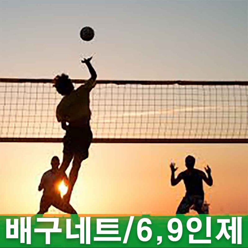 STAR 스타 배구네트 6인제 고급용 VN310H