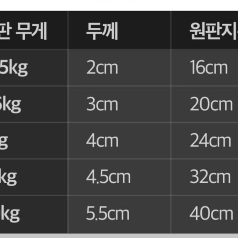 트라히어 RP3H 고무 홈짐 헬스 중량 원판, 5kg, 2개, 블랙